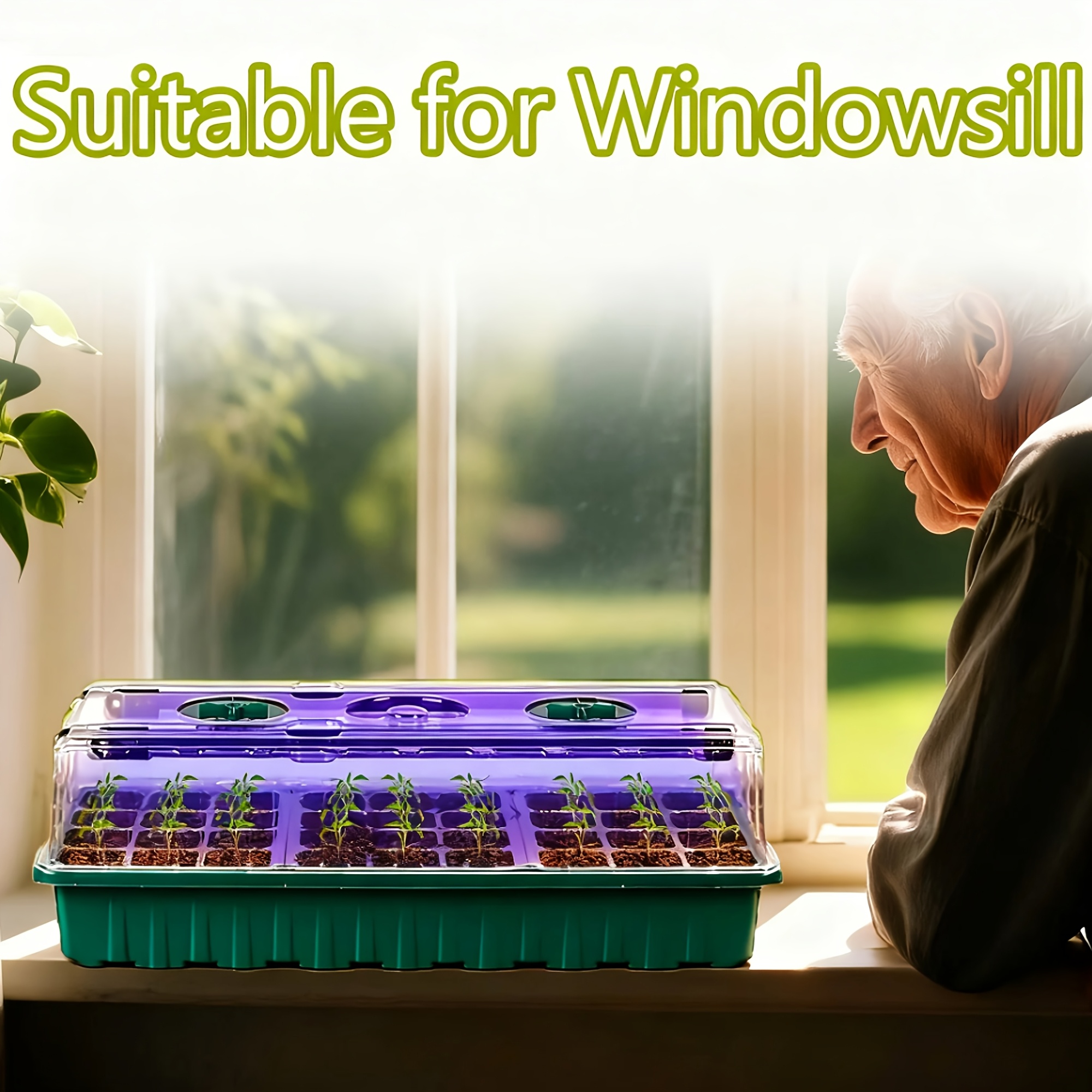 High Dome Seedling Propagation - đánh giá và giá Smart Home Life
