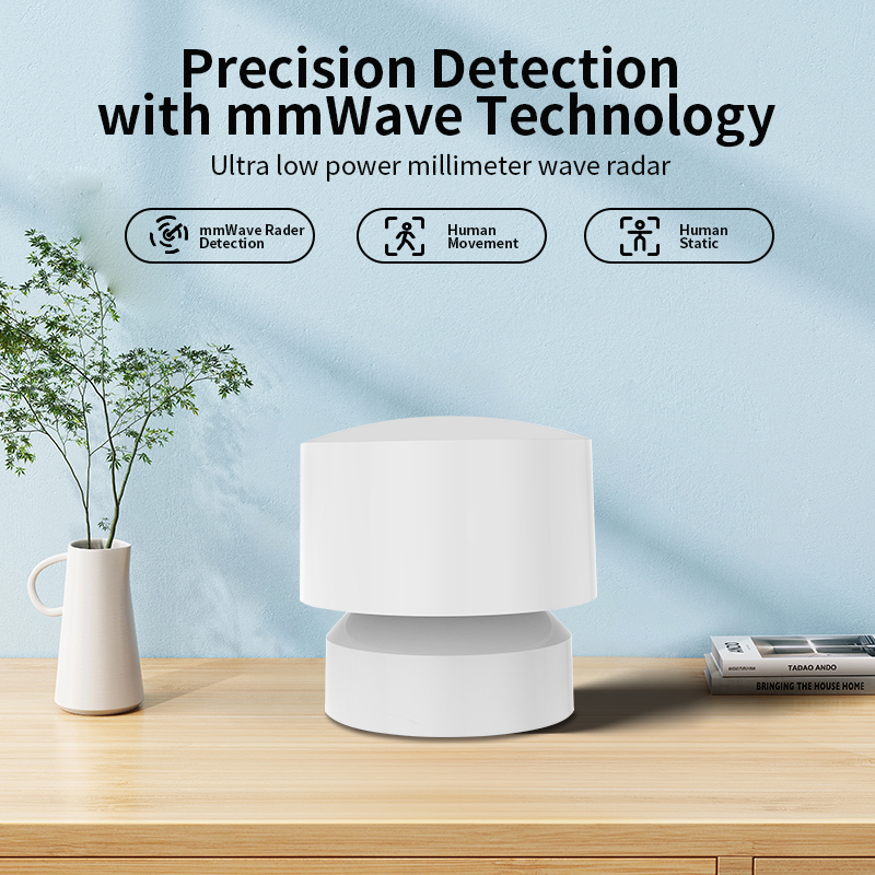 Zigbee or Wi-Fi Human Presence - đánh giá và giá Smart Home Monitoring