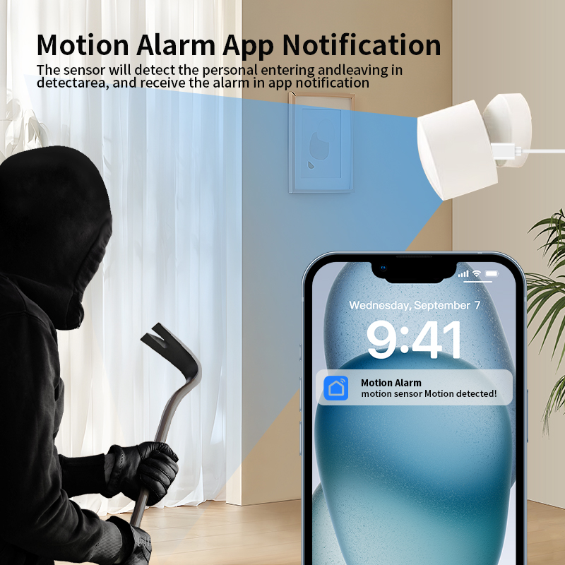Zigbee or Wi-Fi Human Presence - đánh giá và giá Smart Home Monitoring
