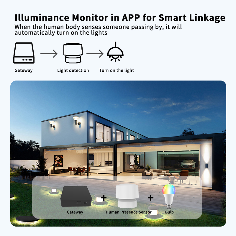 Zigbee or Wi-Fi Human Presence - đánh giá và giá Smart Home Monitoring