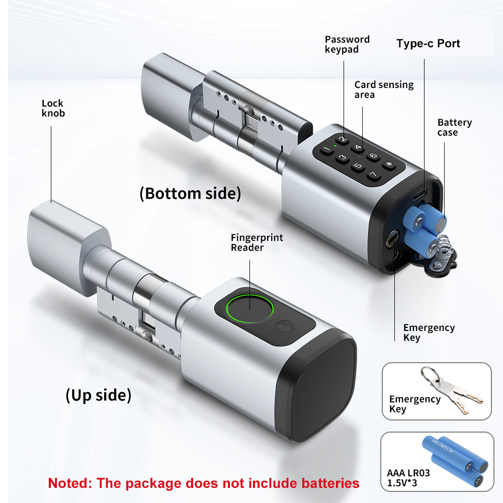 RAYKUBE V1 Tuya BLE TT Lock Sm - đánh giá và giá Smart Home Keyestudio