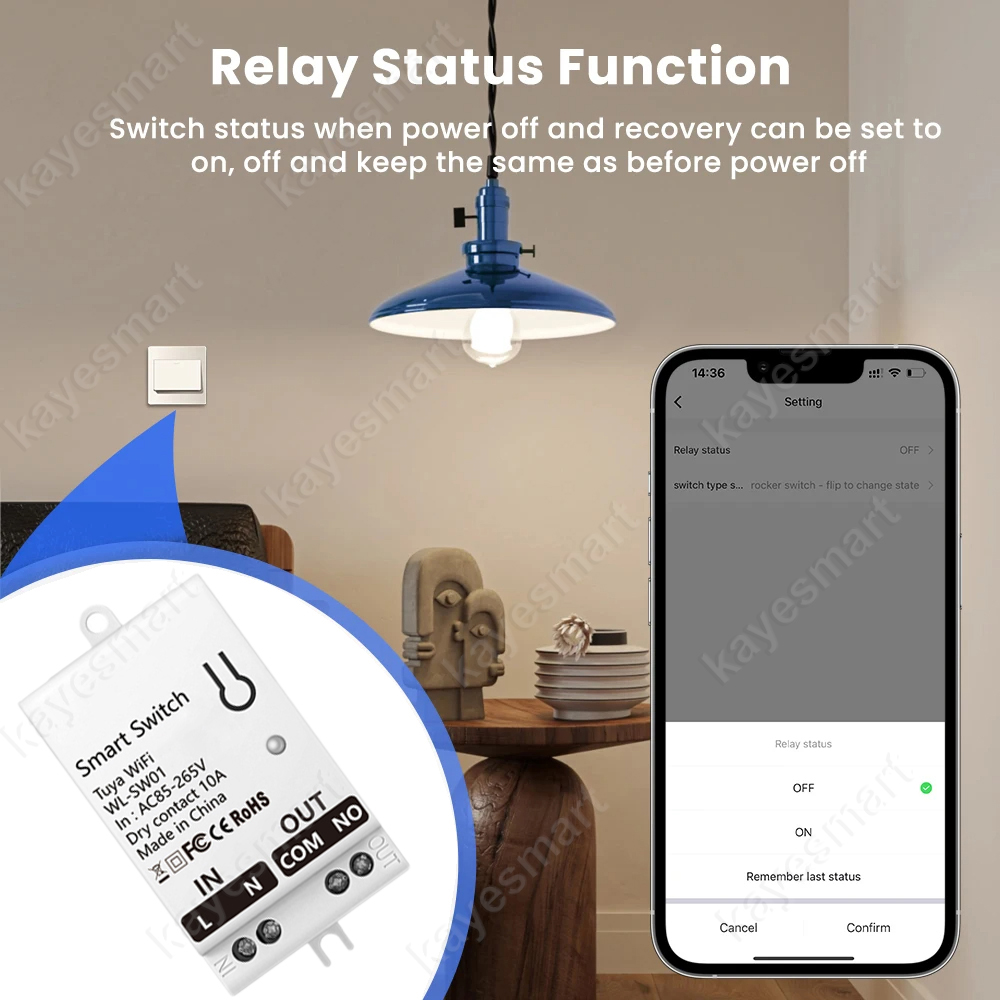Tuya WiFi Smart Switch Module  - đánh giá và giá Smart Home Assistant