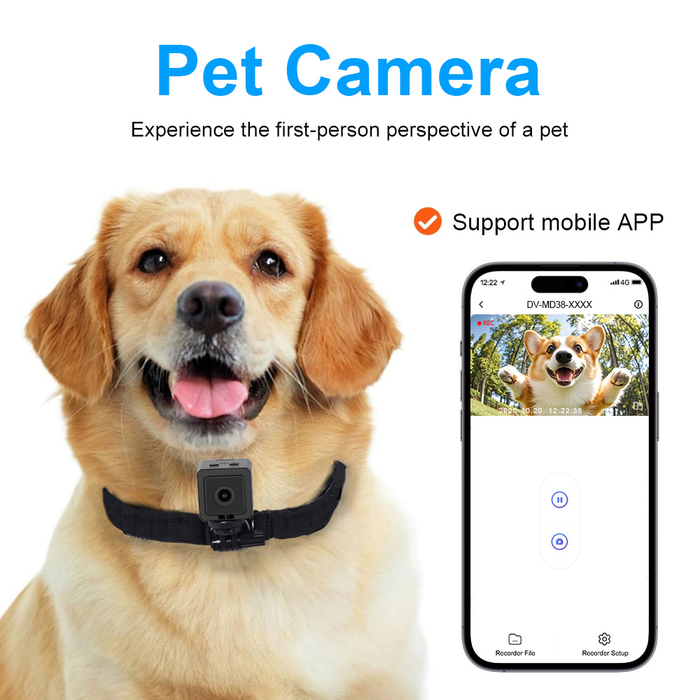 Small Wifi Camera HD 1080P Sma - đánh giá và giá Smart Home Kamera