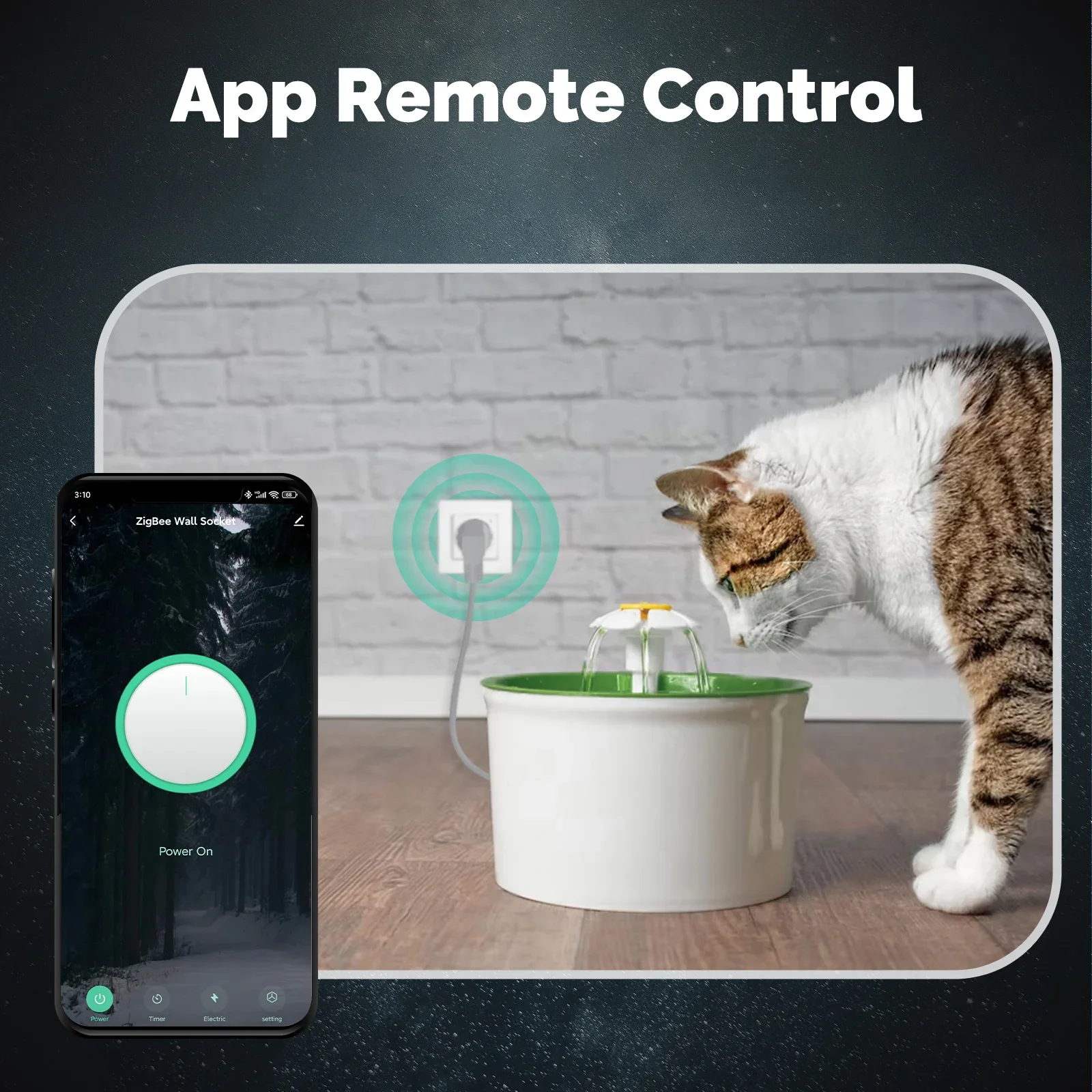 MOES Tuya ZigBee Smart Socket  - đánh giá và giá Smart Home Monitoring